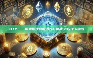 BTY——探索区块链的潜力与挑战-bty什么缩写